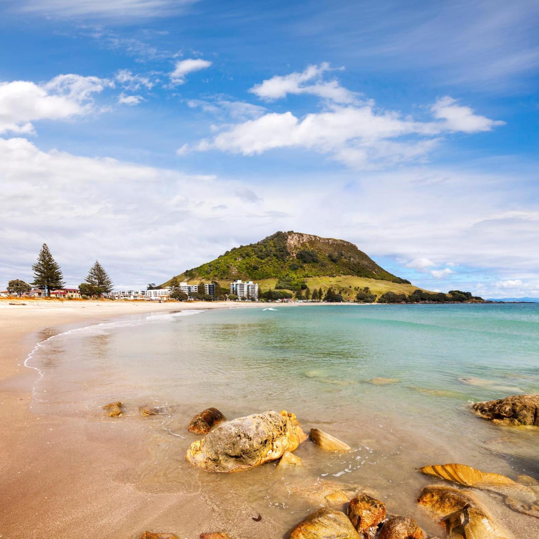 Sunny And Spacious - Moments From The Beach And Downtown Mount Maunganui Exterior photo